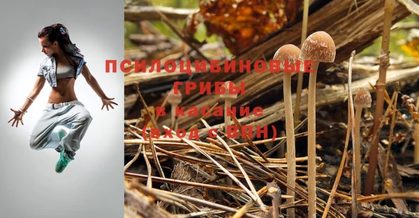 экстази Верхний Тагил